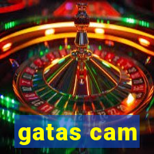 gatas cam